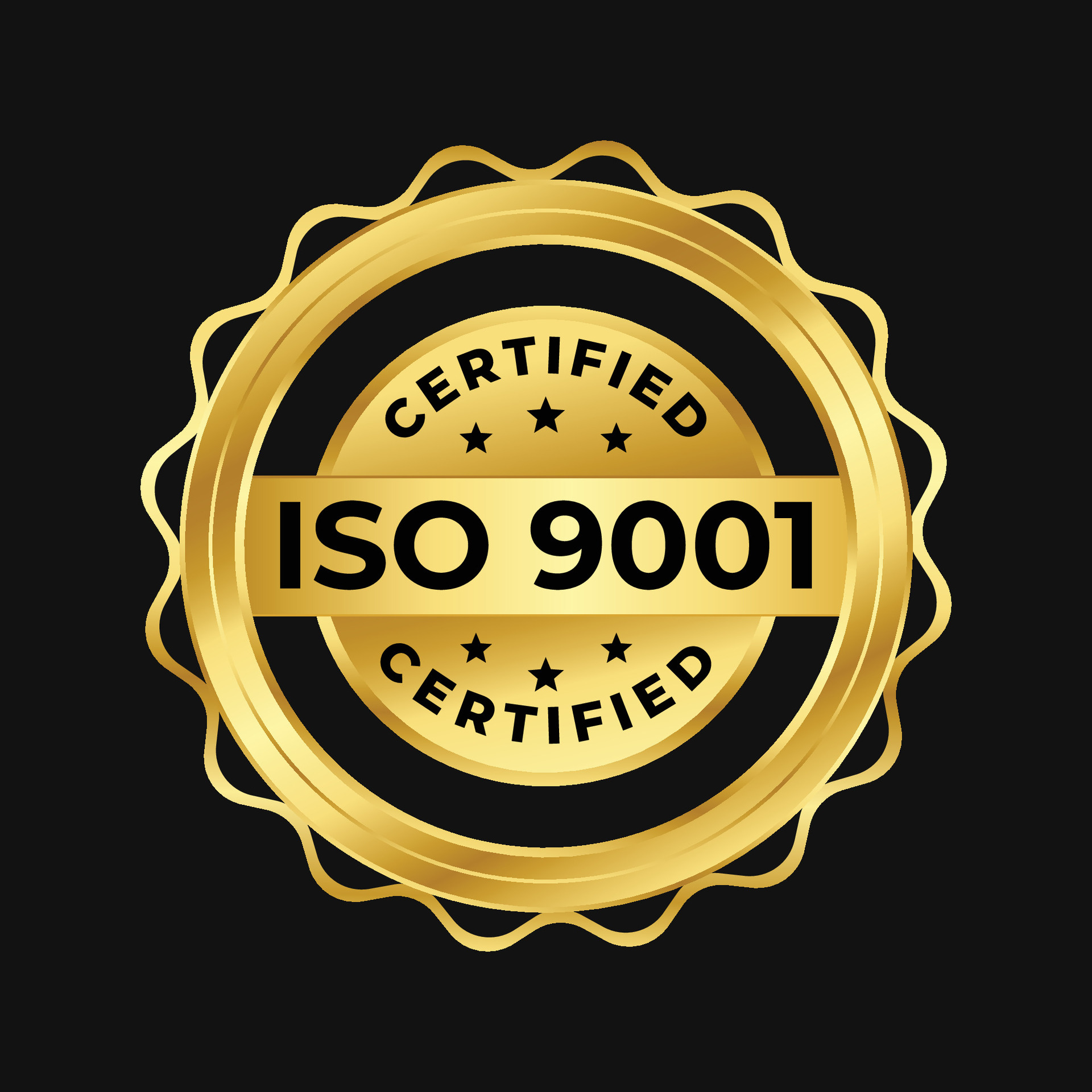 ISO 9001 certified IT company